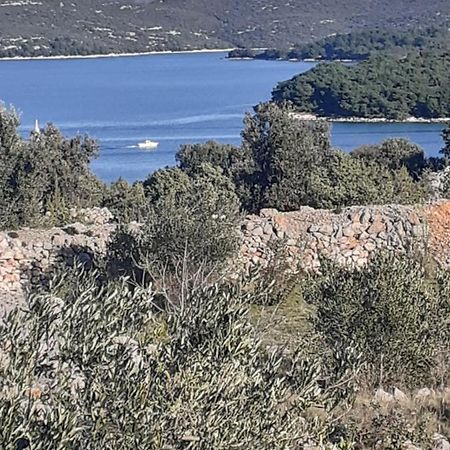 Villa Palfi Jezera Esterno foto